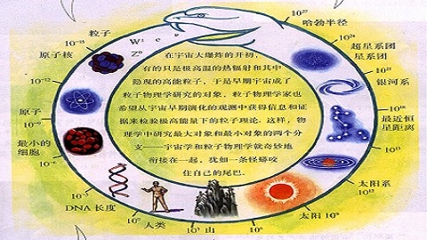 高中一年级物理必修1